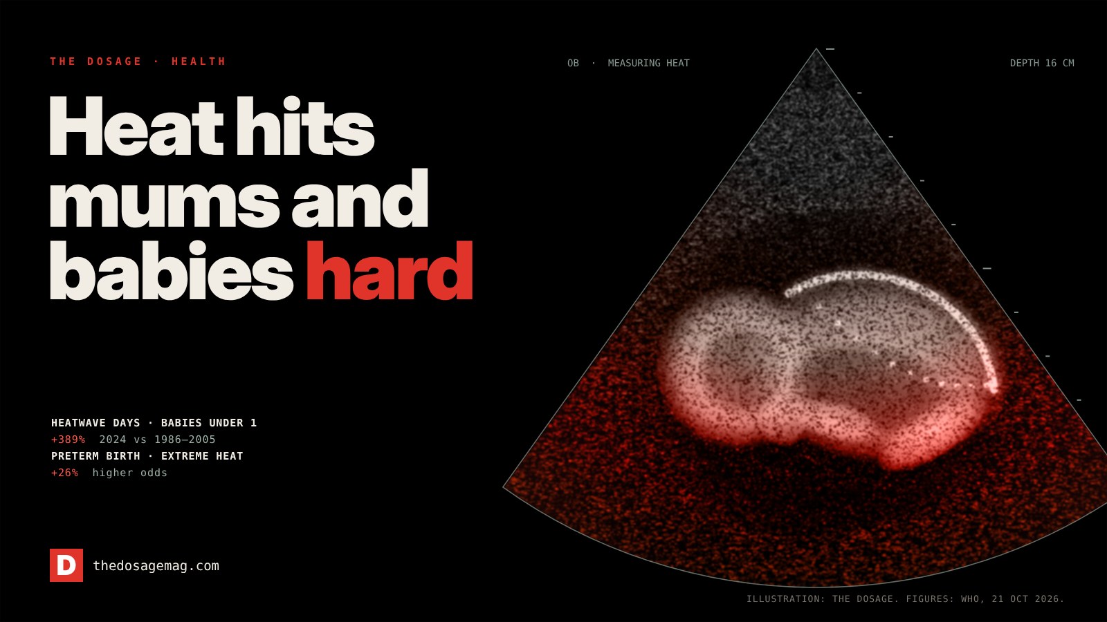An ultrasound scan of a baby glowing red with heat, beside the headline Heat hits mums and babies hard. Readouts: heatwave days for babies under one up 389% in 2024 compared with 1986–2005; preterm birth odds up 26% with extreme heat.