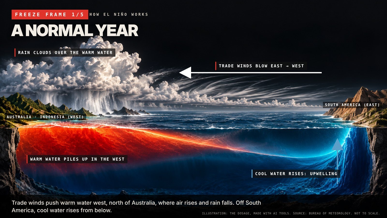 Frame 1, a normal year: trade winds push warm water west, north of Australia; cool water rises off South America.
